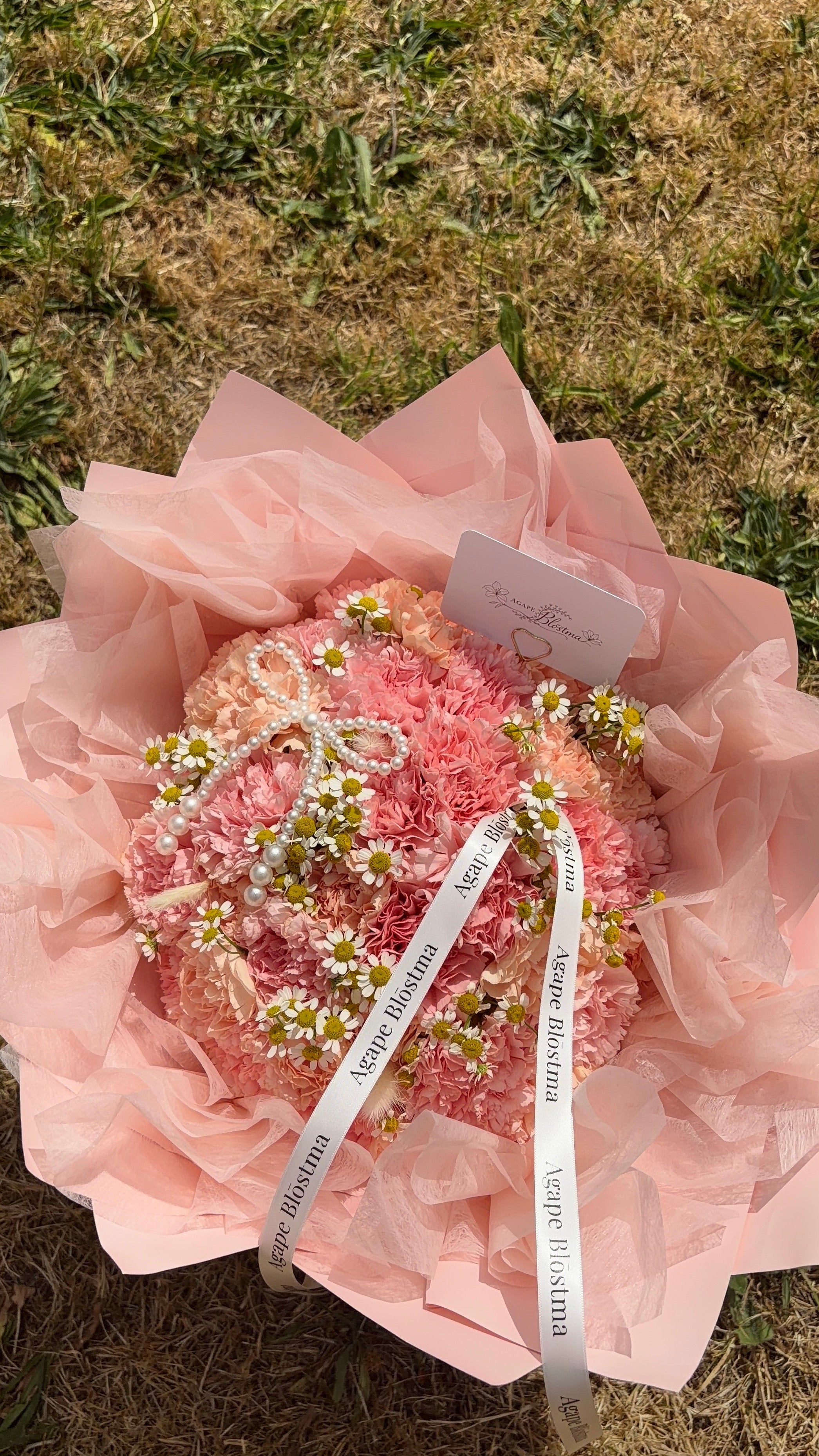 Pink Promise