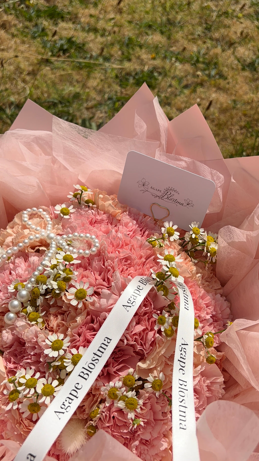 Pink Promise