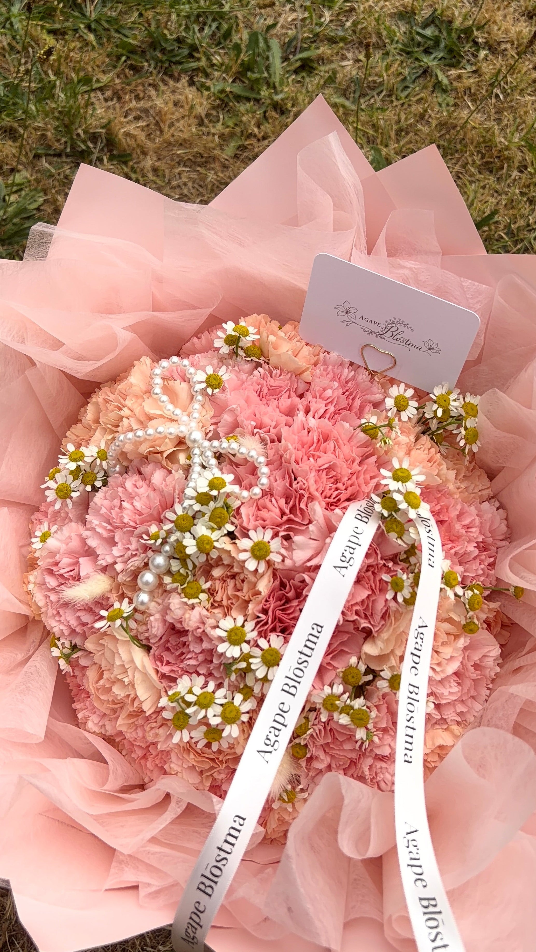 Pink Promise